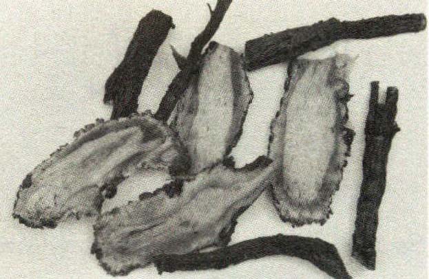 當(dāng)歸